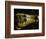 Close-Up of the Head of a Common Caiman, River Chagres, Soberania Forest National Park, Panama-Sergio Pitamitz-Framed Photographic Print