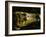 Close-Up of the Head of a Common Caiman, River Chagres, Soberania Forest National Park, Panama-Sergio Pitamitz-Framed Photographic Print