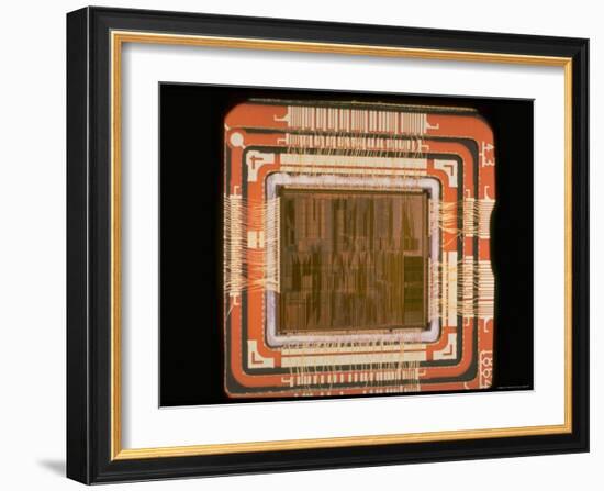 Close Up of the Internal Structure of an Intel Pentium Processor with MMX Technology-Ted Thai-Framed Photographic Print