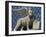 Close-Up of the Lion of St. Mark's Clock Tower in Venice, UNESCO World Heritage Site, Veneto, Italy-Woolfitt Adam-Framed Photographic Print