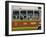 Close-Up of the Side of a Local Bus in Ayutthaya, Thailand, Southeast Asia-Charcrit Boonsom-Framed Photographic Print