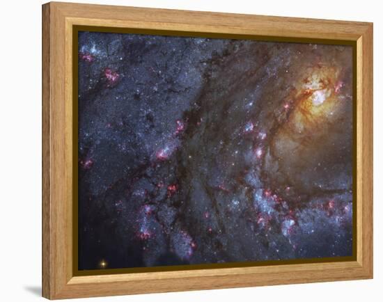 Close-up of the Southern Pinwheel Galaxy-Stocktrek Images-Framed Premier Image Canvas