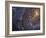 Close-up of the Southern Pinwheel Galaxy-Stocktrek Images-Framed Photographic Print