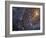 Close-up of the Southern Pinwheel Galaxy-Stocktrek Images-Framed Photographic Print