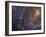 Close-up of the Southern Pinwheel Galaxy-Stocktrek Images-Framed Photographic Print