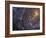 Close-up of the Southern Pinwheel Galaxy-Stocktrek Images-Framed Photographic Print