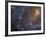 Close-up of the Southern Pinwheel Galaxy-Stocktrek Images-Framed Photographic Print