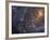 Close-up of the Southern Pinwheel Galaxy-Stocktrek Images-Framed Photographic Print