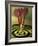 Close-up of Three Darts in the Bull's-Eye of a Dartboard-null-Framed Photographic Print