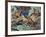 Close-Up of Three Darwin's Frogs in the Forest (Rhinoderma Darwinii)-null-Framed Giclee Print