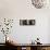 Close-up of Three Dedicated Sake Barrels, Imamiya Temple, Kita-Ku, Kyoto, Honshu, Japan-null-Photographic Print displayed on a wall