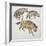 Close-Up of Three Hyena Dogs-null-Framed Giclee Print