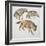 Close-Up of Three Hyena Dogs-null-Framed Giclee Print