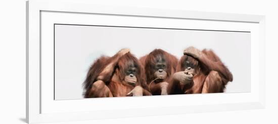 Close-Up of Three Orangutans-null-Framed Photographic Print