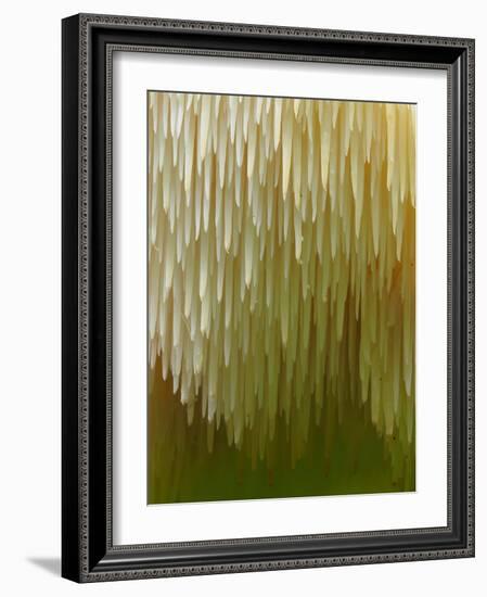 Close-up of Tiered tooth fungus, UK-Andy Sands-Framed Photographic Print