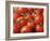 Close-Up of Tomatoes, England, United Kingdom-Roy Rainford-Framed Photographic Print