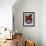 Close-Up of Tortillas in a Tray Covered by a Red Cloth, in Mexico, North America-Michelle Garrett-Framed Photographic Print displayed on a wall