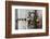 Close-Up of Traditional Carved Door, Stone Town, Zanzibar, Tanzania-Alida Latham-Framed Photographic Print