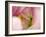 Close-up of tulips-Terry Eggers-Framed Photographic Print