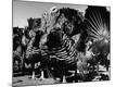 Photographic Print
