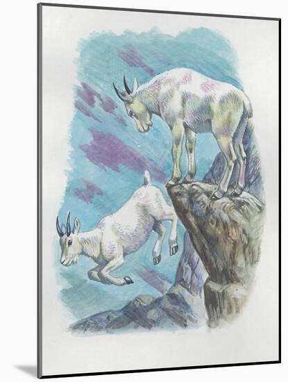 Close-Up of Two Mountain Goats (Oreamnos Americanus)-null-Mounted Giclee Print