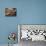 Close Up of Two Runners Hands Passing the Baton in Relay Race in Front of Old European Clock Face-null-Mounted Photographic Print displayed on a wall