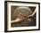 Close Up of Two Runners Hands Passing the Baton in Relay Race in Front of Old European Clock Face-null-Framed Photographic Print