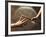 Close Up of Two Runners Hands Passing the Baton in Relay Race in Front of Old European Clock Face-null-Framed Photographic Print