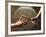 Close Up of Two Runners Hands Passing the Baton in Relay Race in Front of Old European Clock Face-null-Framed Photographic Print