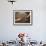 Close Up of Two Runners Hands Passing the Baton in Relay Race in Front of Old European Clock Face-null-Framed Photographic Print displayed on a wall