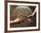 Close Up of Two Runners Hands Passing the Baton in Relay Race in Front of Old European Clock Face-null-Framed Photographic Print