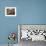 Close Up of Two Runners Hands Passing the Baton in Relay Race in Front of Old European Clock Face-null-Framed Photographic Print displayed on a wall