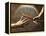 Close Up of Two Runners Hands Passing the Baton in Relay Race in Front of Old European Clock Face-null-Framed Premier Image Canvas