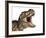 Close-Up of Tyrannosaurus Rex Dinosaur with Mouth Open-null-Framed Art Print