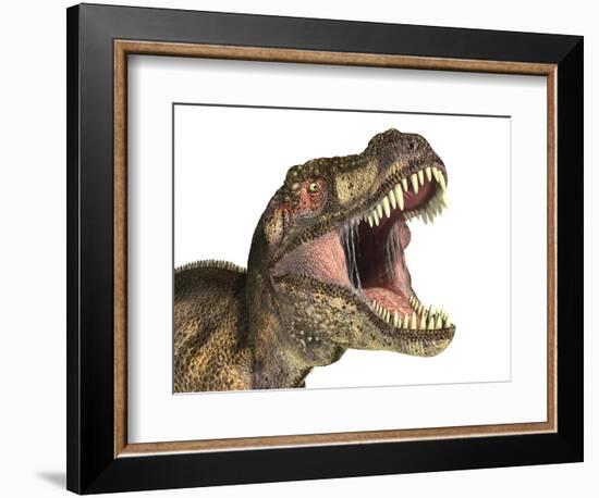 Close-Up of Tyrannosaurus Rex Dinosaur with Mouth Open-null-Framed Art Print