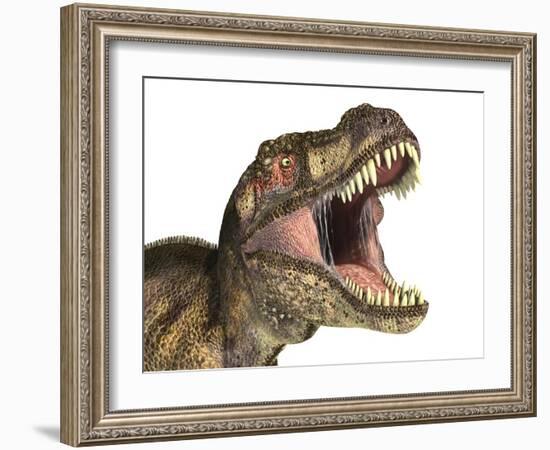 Close-Up of Tyrannosaurus Rex Dinosaur with Mouth Open-null-Framed Art Print