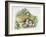 Close-Up of Wall Lizards Hatching Eggs (Podarcis Muralis)-null-Framed Giclee Print