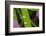 Close-Up of Water Droplets on Blades of Grass-Matt Freedman-Framed Photographic Print