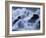 Close-Up of Waterfall, Water Cascading over Rocks in the Highlands of Scotland, United Kingdom-Kathy Collins-Framed Photographic Print