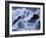 Close-Up of Waterfall, Water Cascading over Rocks in the Highlands of Scotland, United Kingdom-Kathy Collins-Framed Photographic Print