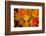 Close-up of wet autumn leaves, Portland, Oregon, USA-Panoramic Images-Framed Photographic Print