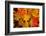 Close-up of wet autumn leaves, Portland, Oregon, USA-Panoramic Images-Framed Photographic Print