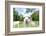 Close up of White Alpaca Looking Straight ahead in the Beautiful Green Meadow, it's Curious Cute Ey-thaweerat-Framed Photographic Print