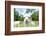 Close up of White Alpaca Looking Straight ahead in the Beautiful Green Meadow, it's Curious Cute Ey-thaweerat-Framed Photographic Print