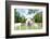 Close up of White Alpaca Looking Straight ahead in the Beautiful Green Meadow, it's Curious Cute Ey-thaweerat-Framed Photographic Print