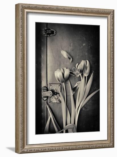 Close Up of White Daisy Flower on Old Wooden Surface-Coverzoo-Framed Photographic Print