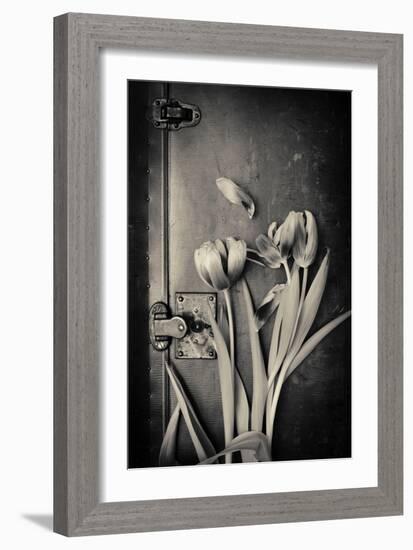 Close Up of White Daisy Flower on Old Wooden Surface-Coverzoo-Framed Photographic Print