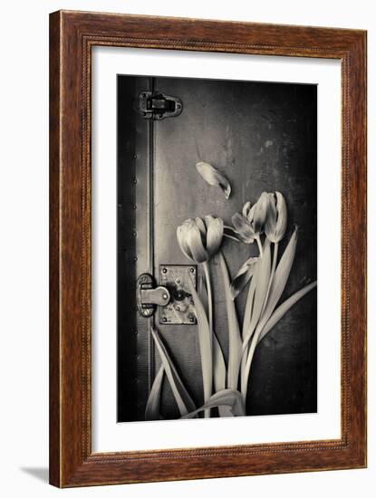 Close Up of White Daisy Flower on Old Wooden Surface-Coverzoo-Framed Photographic Print