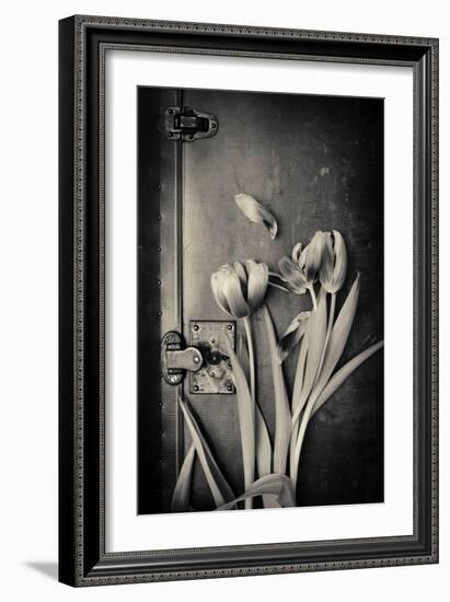 Close Up of White Daisy Flower on Old Wooden Surface-Coverzoo-Framed Photographic Print