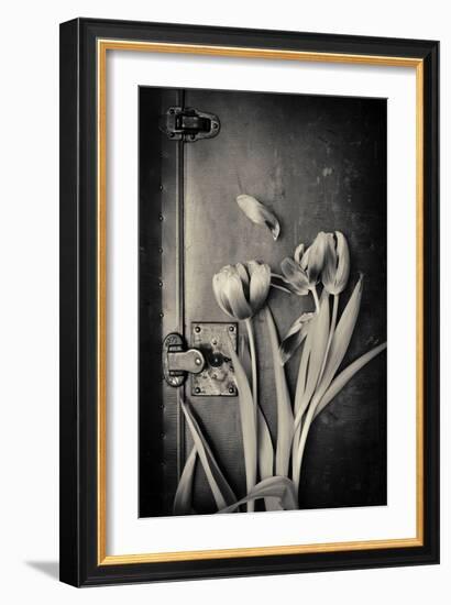 Close Up of White Daisy Flower on Old Wooden Surface-Coverzoo-Framed Photographic Print